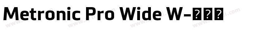Metronic Pro Wide W字体转换